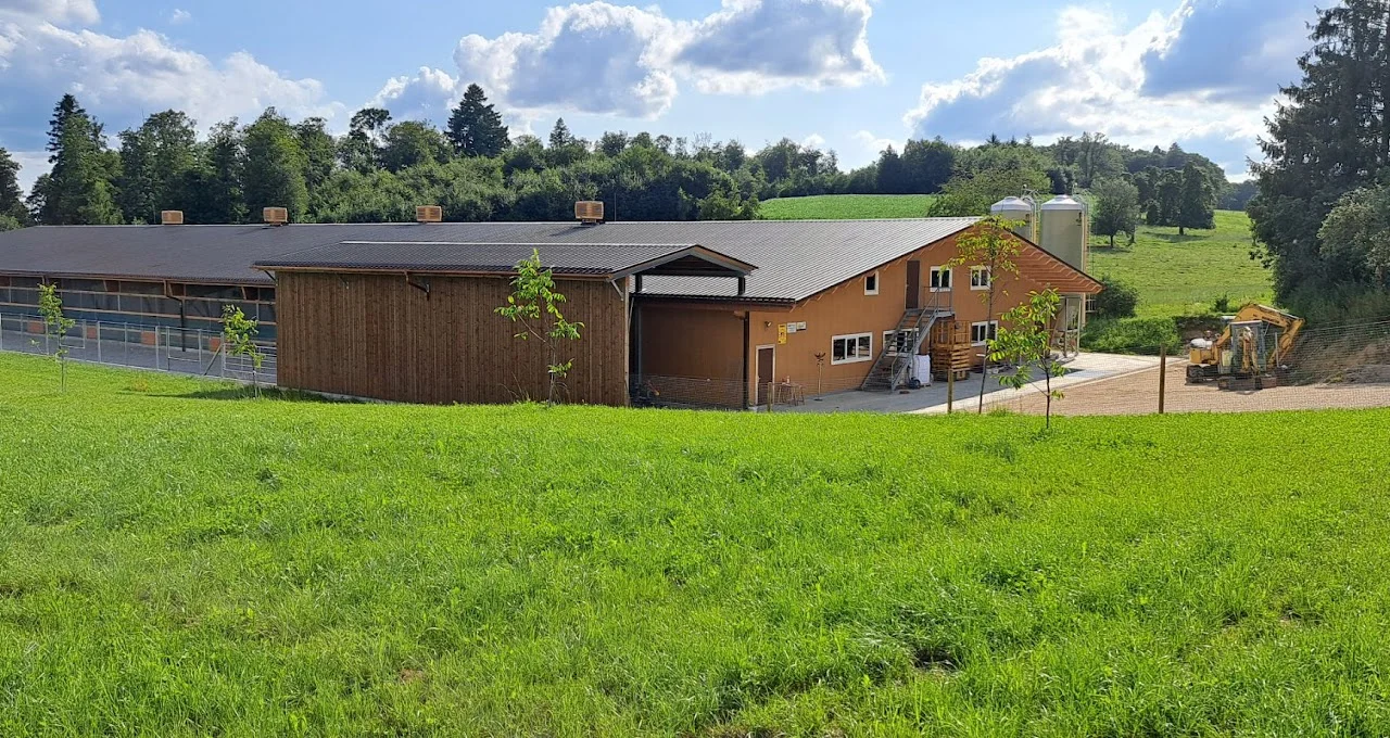 Neubau Leghennenstall – Bild 3