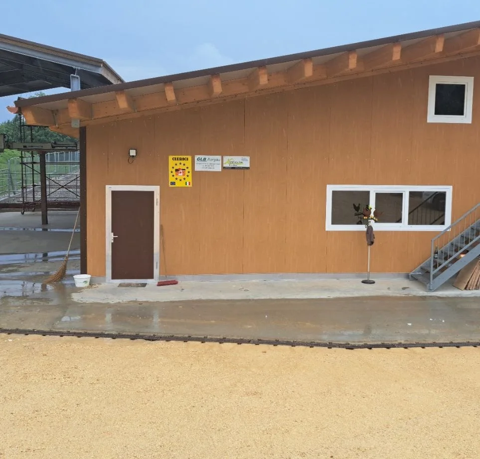 Neubau Leghennenstall – Bild 4